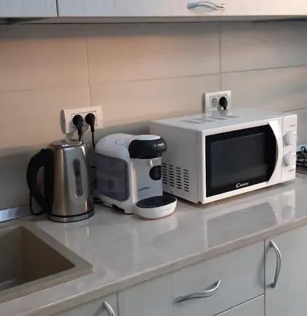 Mamaia Sky 2018 公寓 康斯坦察